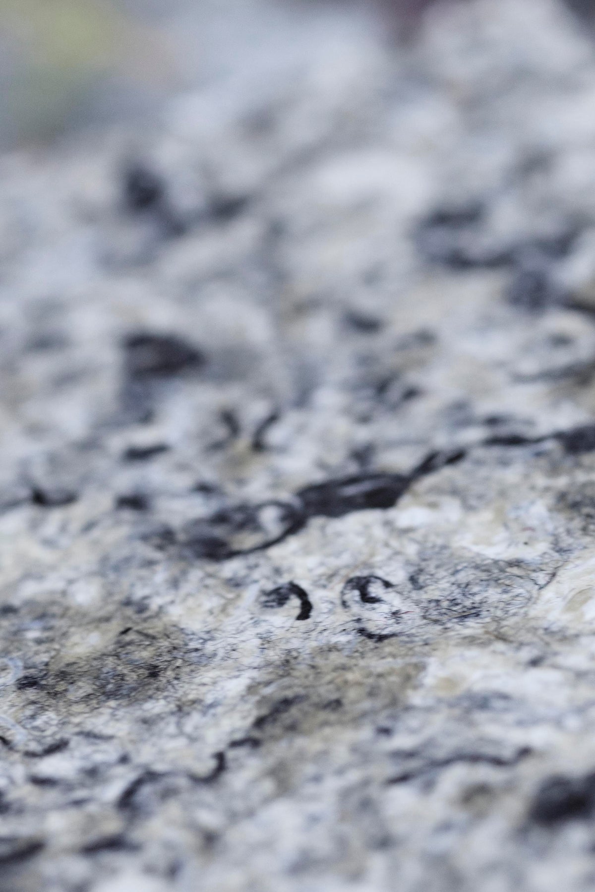 INDUSTRIAL INNOVATION